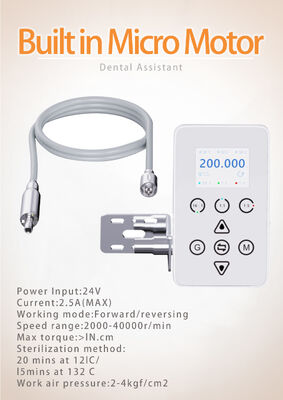 Dental Lab Polishing Micro Motor Dental Electric Led Built in Micro Motor Oral Micro Motor supplier