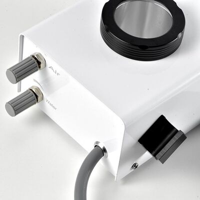 Dental Air Polisher Machine Portable Ultrasonic Dental Scaler Human/Veterinary Factory Price Electric Tooth Scaler supplier