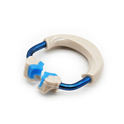 High Quality Dentistry Product Dental Material Dental Orthodontics Forming Sheet Clip Dental Matrix Rings Short/Tall/Wide Prep supplier