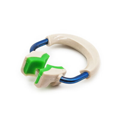 High Quality Dentistry Product Dental Material Dental Orthodontics Forming Sheet Clip Dental Matrix Rings Short/Tall/Wide Prep supplier
