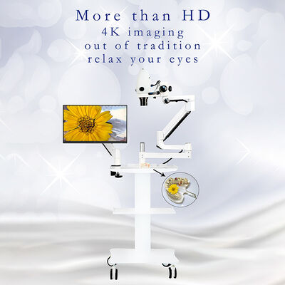 Dental Video Microscope Cart Type or Dental Unit Type with Monitor Use the Monitor Only supplier