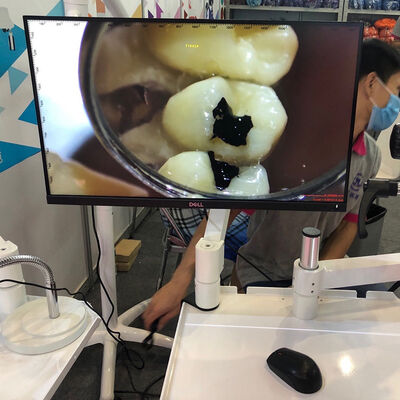 Dental Video Microscope Cart Type or Dental Unit Type with Monitor Use the Monitor Only supplier