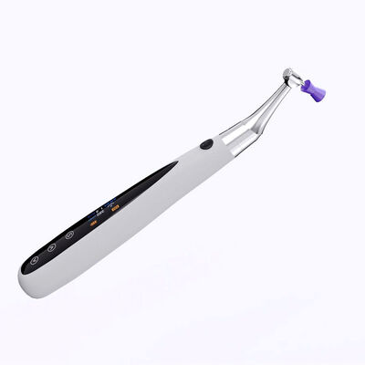 Dental 3 in 1 Brushless Endo Motor With Built-in Apex Locator Cordless Polishing Prophy Angles Cups Endodontic Treatment supplier