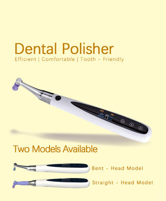 Dental 3 in 1 Brushless Endo Motor With Built-in Apex Locator Cordless Polishing Prophy Angles Cups Endodontic Treatment supplier