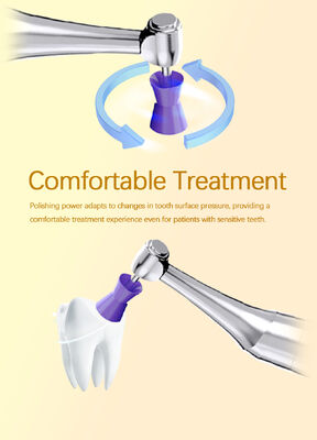 Dental 3 in 1 Brushless Endo Motor With Built-in Apex Locator Cordless Polishing Prophy Angles Cups Endodontic Treatment supplier