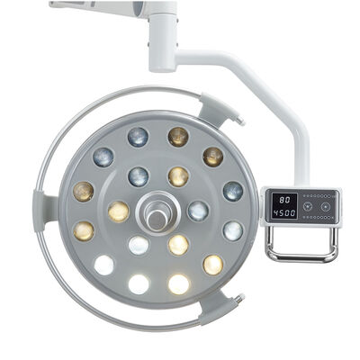Dental Implant/Hospital/Veterinary Lamp Dental Ceiling-mounted Operation LED Light Surgical Lamp supplier