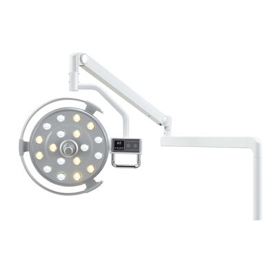 Dental Implant/Hospital/Veterinary Lamp Dental Ceiling-mounted Operation LED Light Surgical Lamp supplier