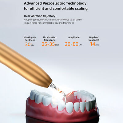 High Quality Dental Equipment Ultrasonic Periodontal Device Endodontic Treatment Product supplier