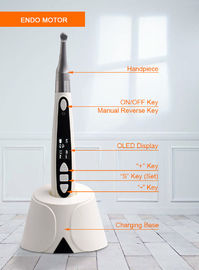 2020 New Dental wireless endo motor with built in apex locator &amp; 1:1 contra angle head SE-E052A supplier