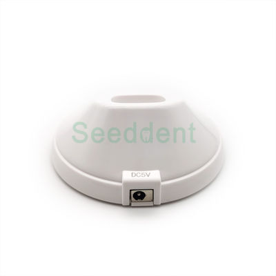 LED Curing Light SE-L022 supplier