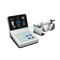 New German Dental Endo Motor with Large Colorful OLED Screen &amp; 4 Models &amp; 6 functions SE-E033 supplier