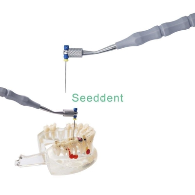 Dental endo files holder / Dental Endo Dispenser Drill Holder Autoclavable / Dental Plastic file holder supplier