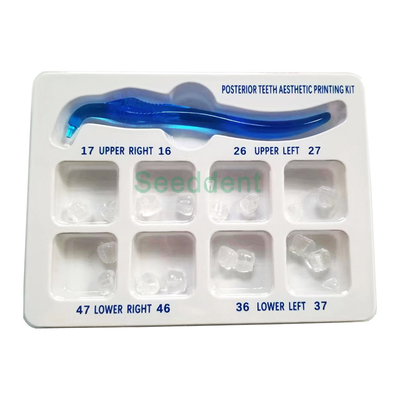 Dental Posterior Teeth Aesthetic Printing Kit Tooth Restoration Filling Oral Therapy Tools supplier