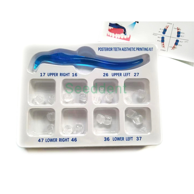 Dental Posterior Teeth Aesthetic Printing Kit Tooth Restoration Filling Oral Therapy Tools supplier