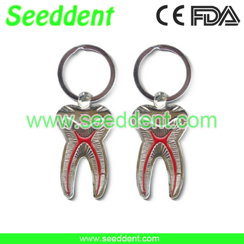 Elegant tooth key chain