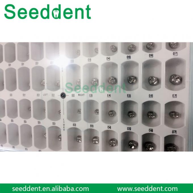 Dental Kids Stainless Steel Primary Molar Crown 48pcs / Kit